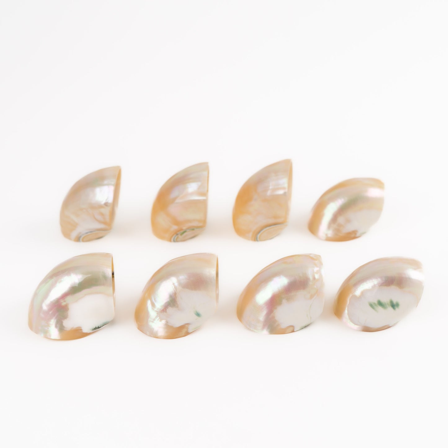 Vintage natural seashell napkin rings set of eight from the 1980s