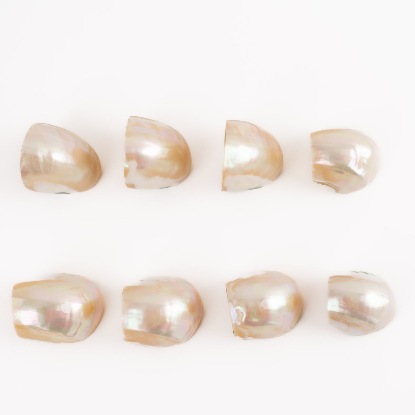 Vintage natural seashell napkin rings set of eight from the 1980s