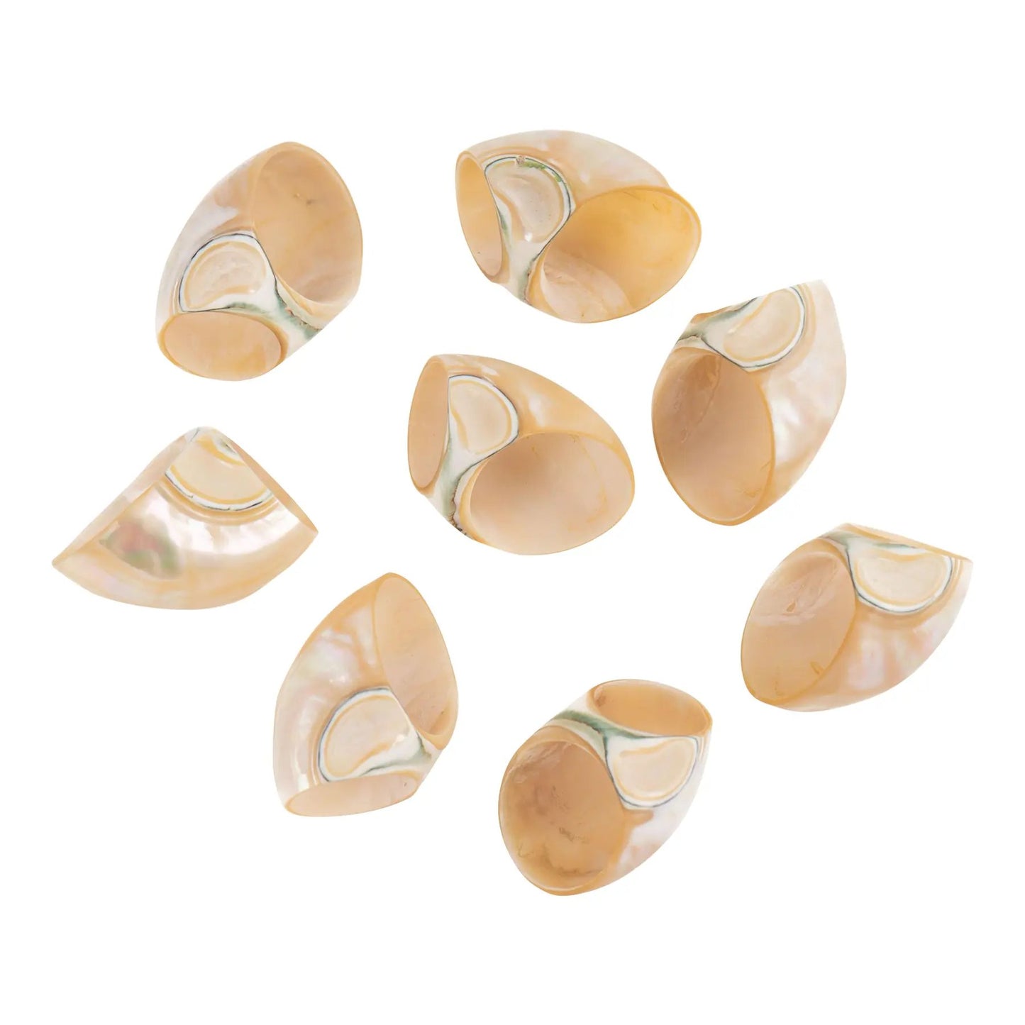 Vintage natural seashell napkin rings set of eight from the 1980s