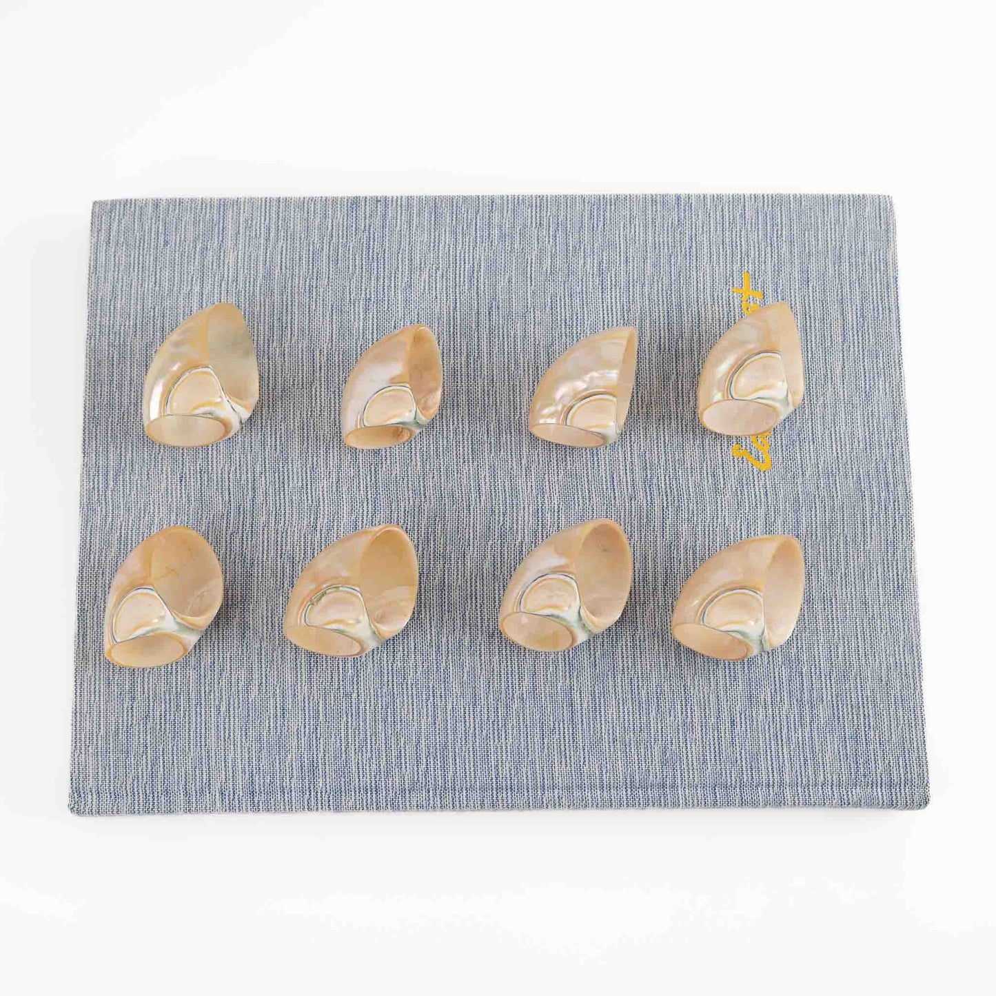 Vintage natural seashell napkin rings set of eight from the 1980s