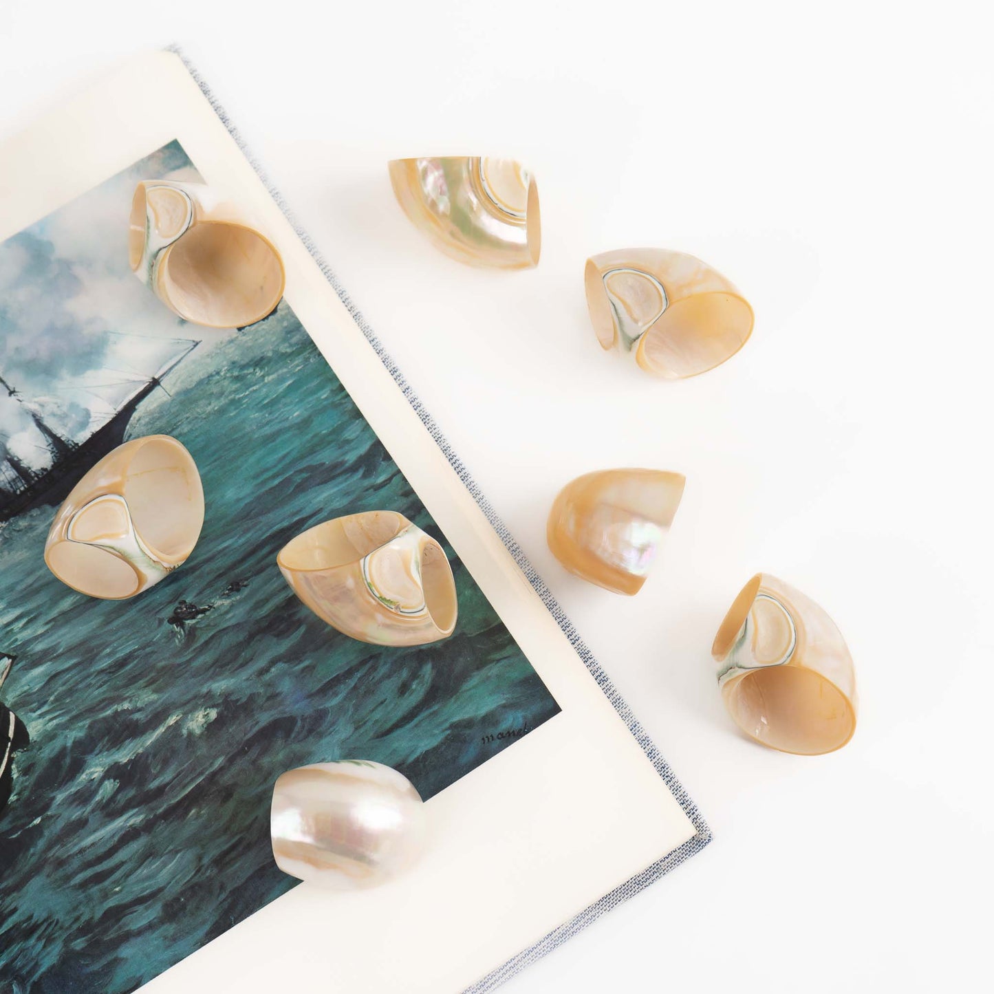 Vintage natural seashell napkin rings set of eight from the 1980s