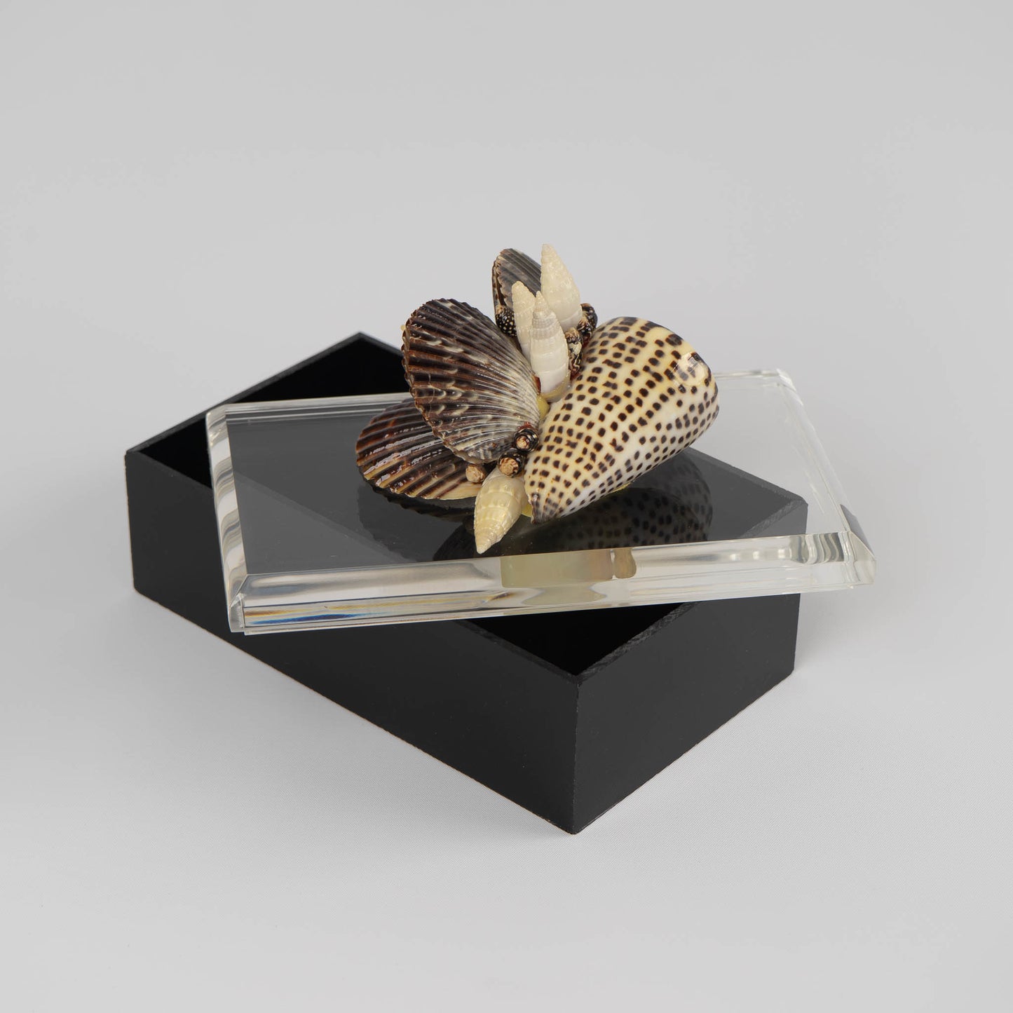 Vintage lucite box with natural seashell cluster handle on lid, perfect for jewelry storage or coastal home decor