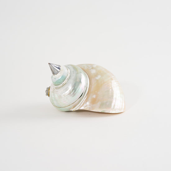 Vintage Sea Shell Jewelry Box