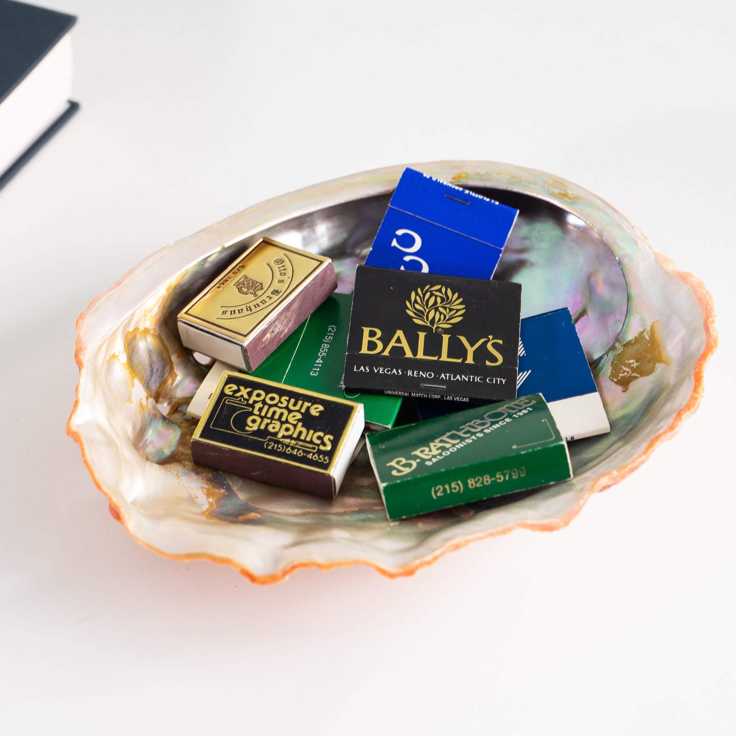Abalone Shell Natural Specimen catchall dish