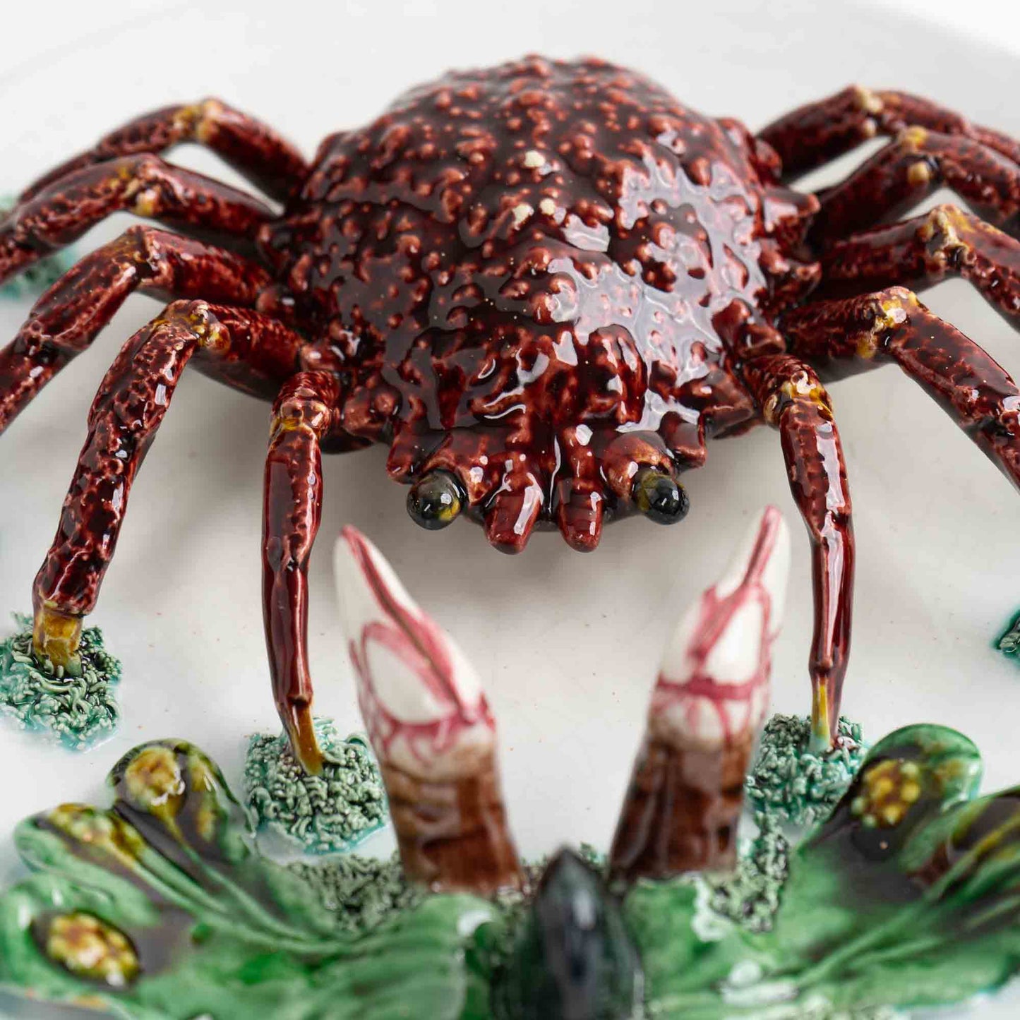 Vintage hand-painted majolica plate with trompe l'oeil red crab, seaweed and mussel in Palissy style