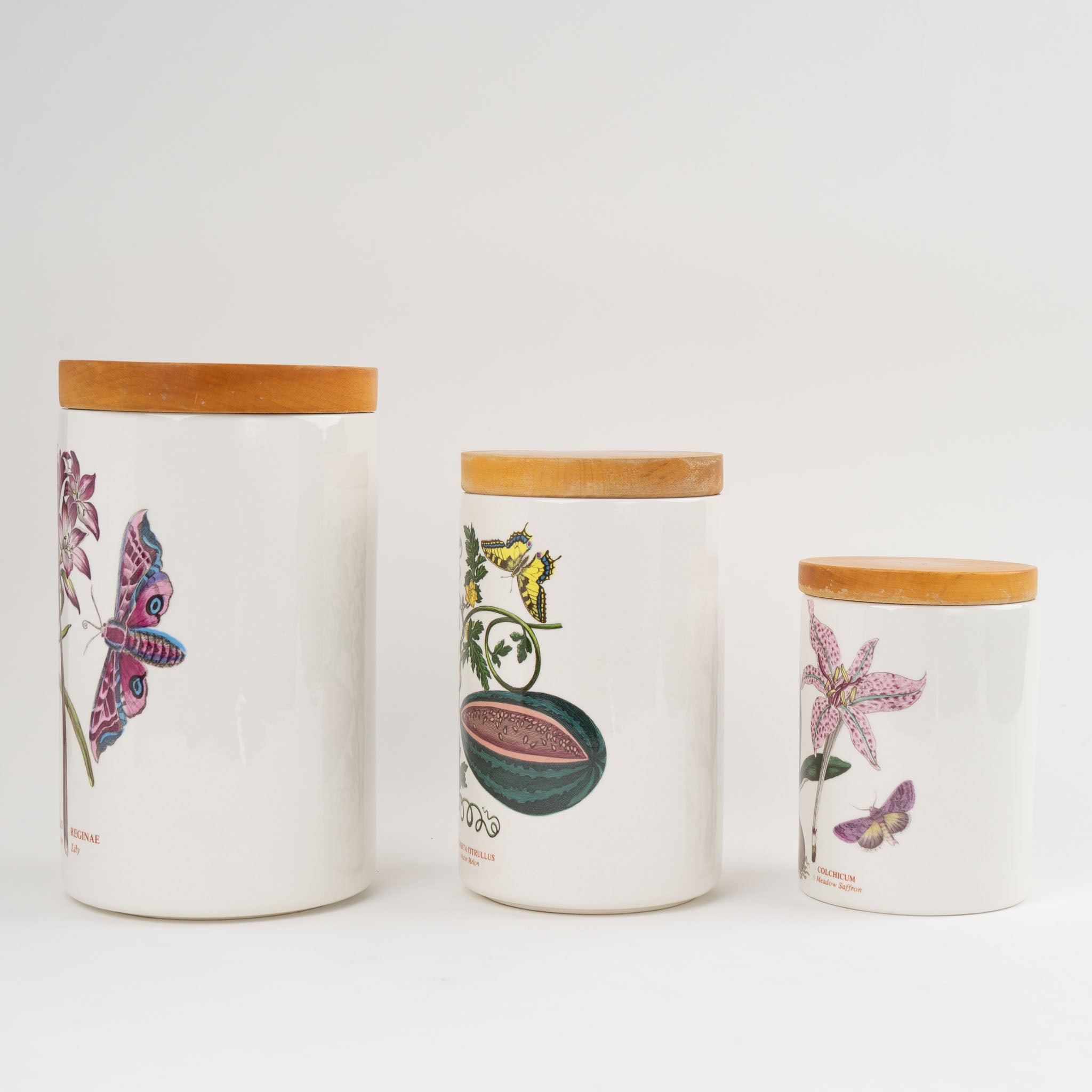 Vintage Botanical Storage Canisters Set - British Ceramic