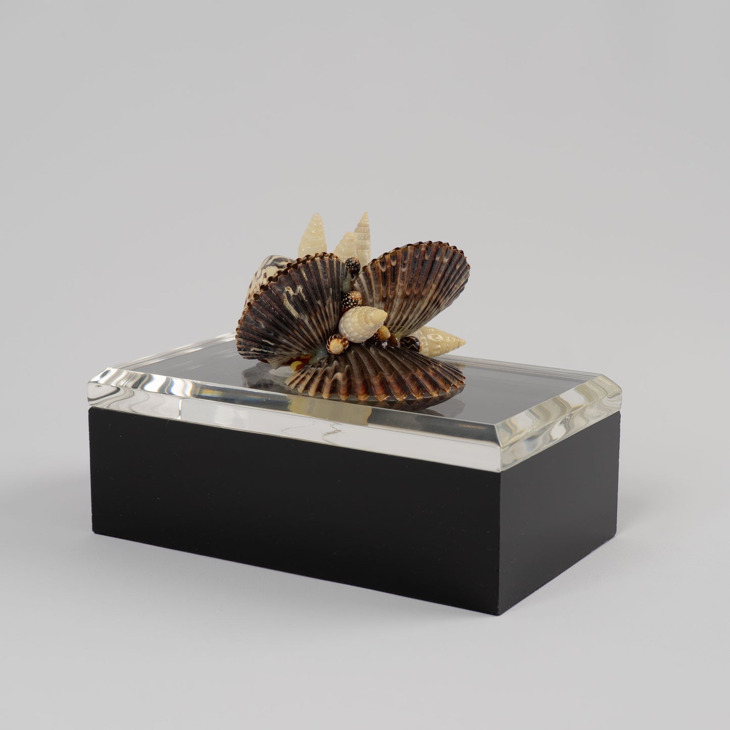 Vintage lucite box with natural seashell cluster handle on lid, perfect for jewelry storage or coastal home decor