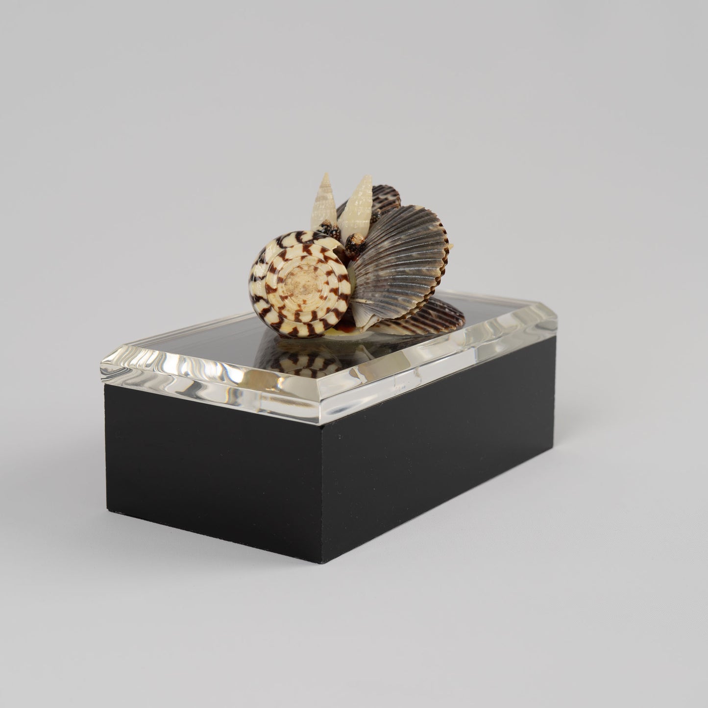 Vintage lucite box with natural seashell cluster handle on lid, perfect for jewelry storage or coastal home decor