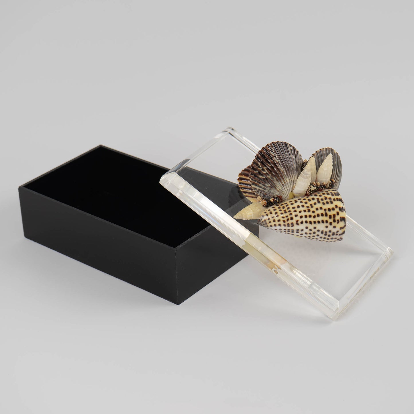 Vintage lucite box with natural seashell cluster handle on lid, perfect for jewelry storage or coastal home decor