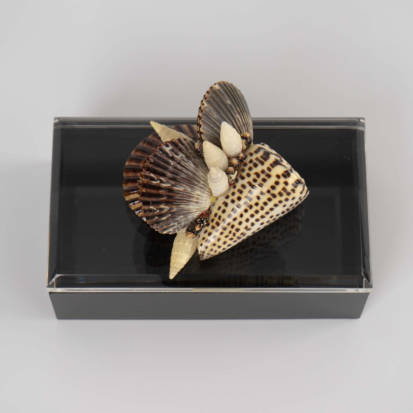 Vintage lucite box with natural seashell cluster handle on lid, perfect for jewelry storage or coastal home decor
