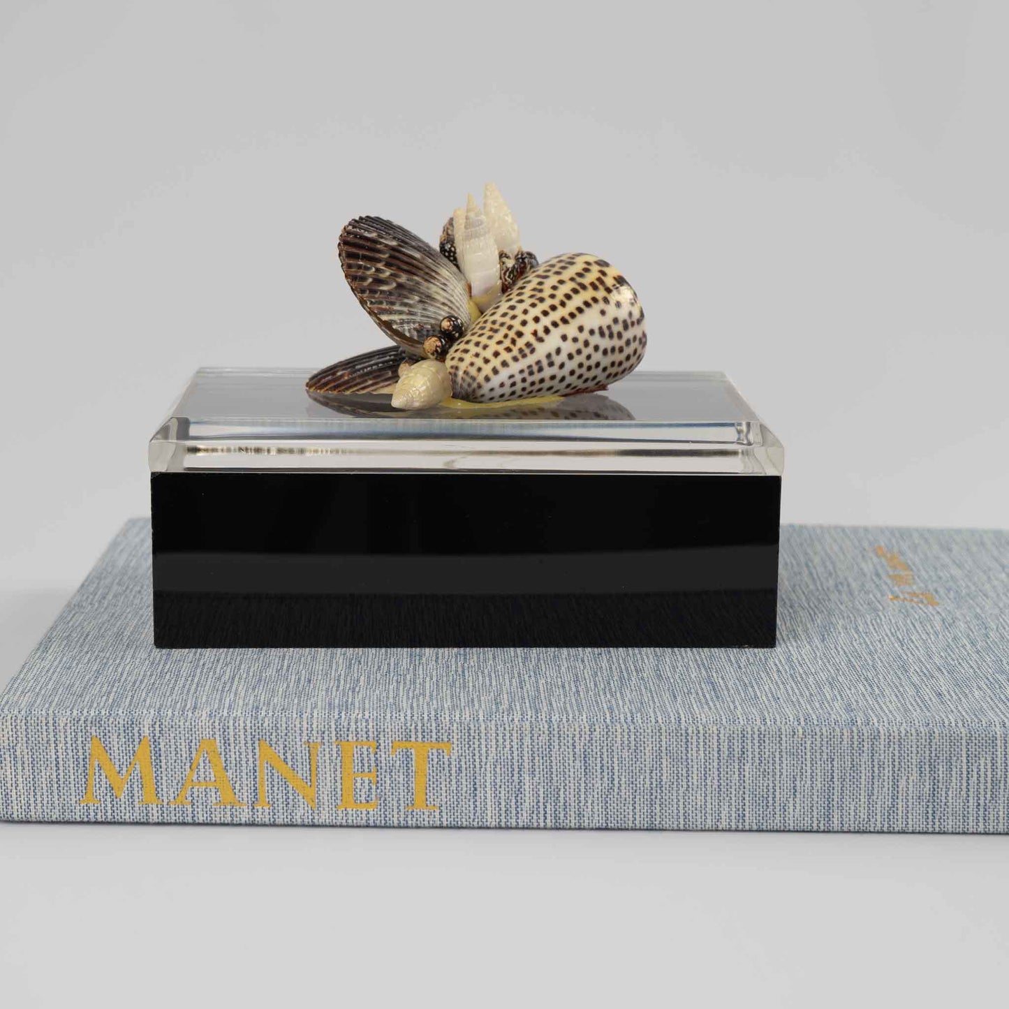 Vintage lucite box with natural seashell cluster handle on lid, perfect for jewelry storage or coastal home decor