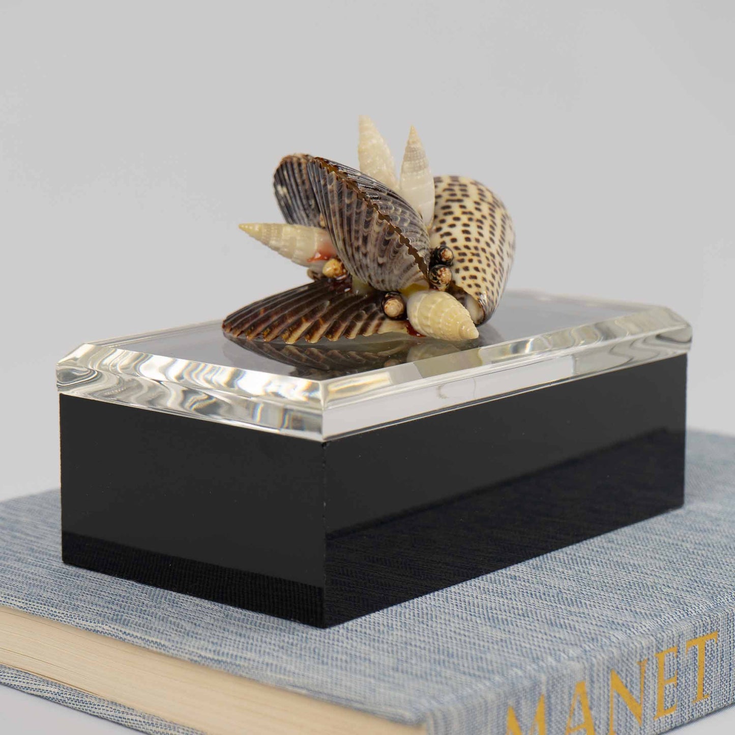 Vintage lucite box with natural seashell cluster handle on lid, perfect for jewelry storage or coastal home decor