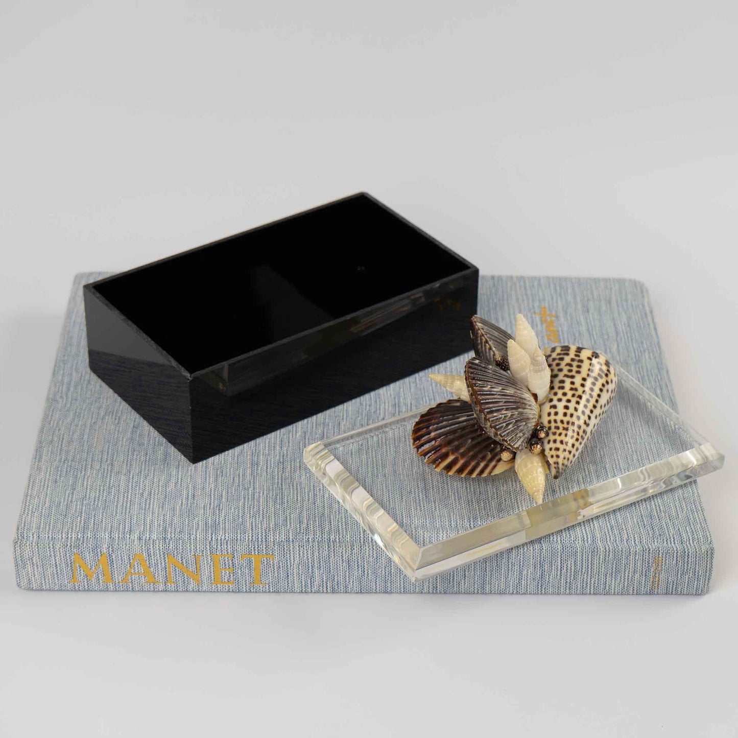 Vintage lucite box with natural seashell cluster handle on lid, perfect for jewelry storage or coastal home decor