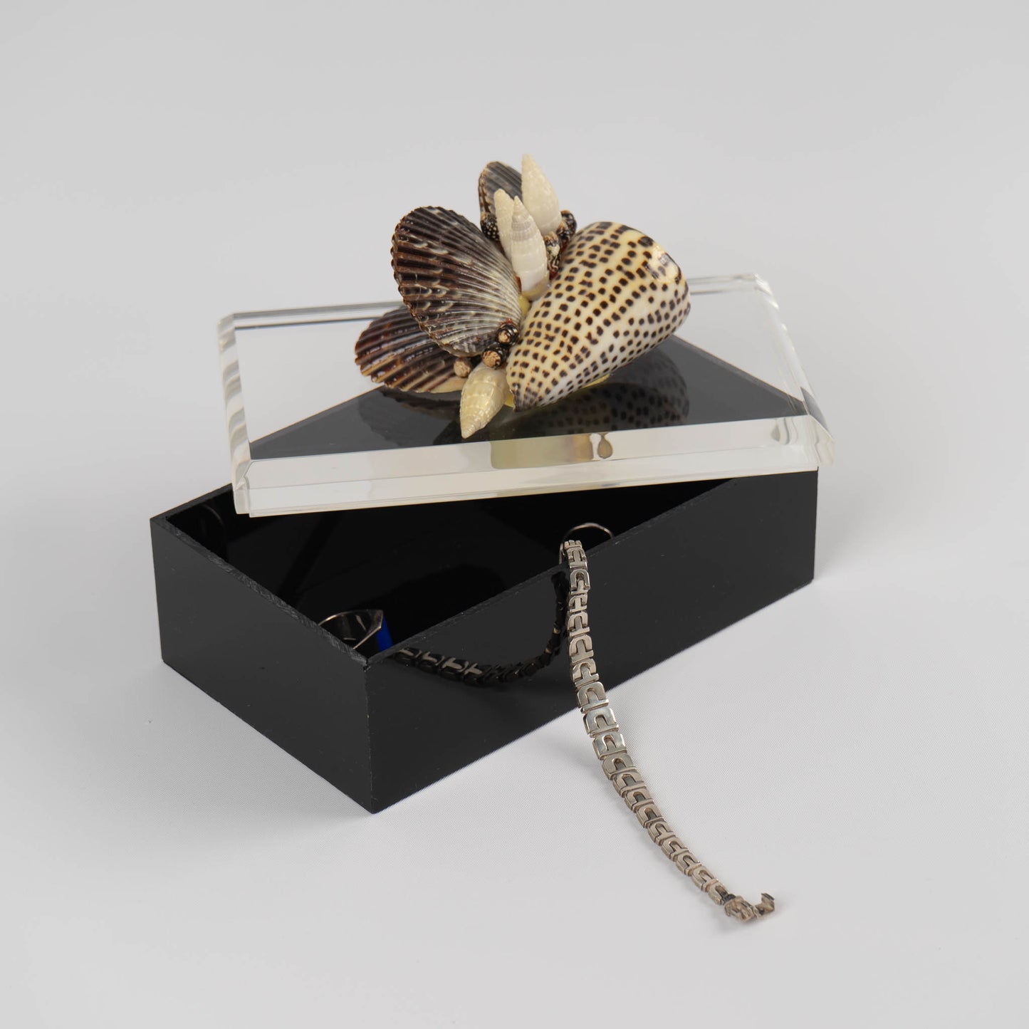 Vintage lucite box with natural seashell cluster handle on lid, perfect for jewelry storage or coastal home decor