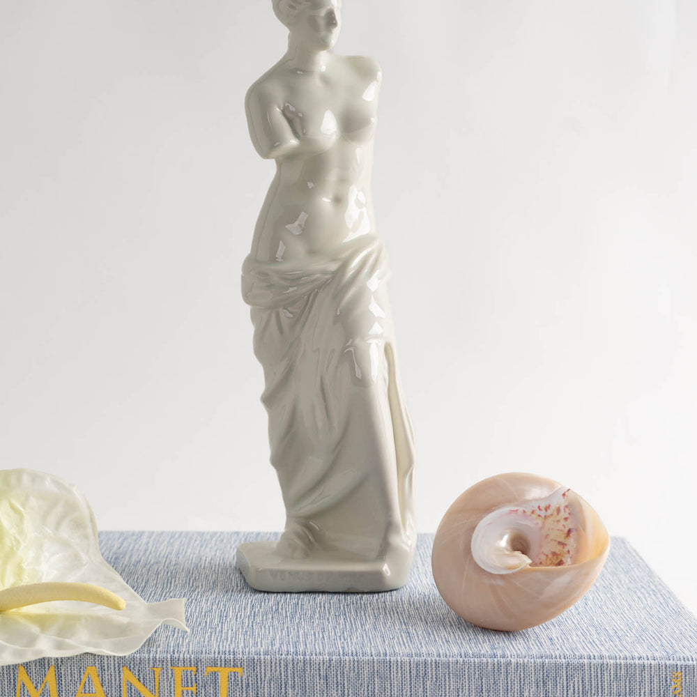 
                      
                        Vintage Venus De Milo White Ceramic Figure
                      
                    