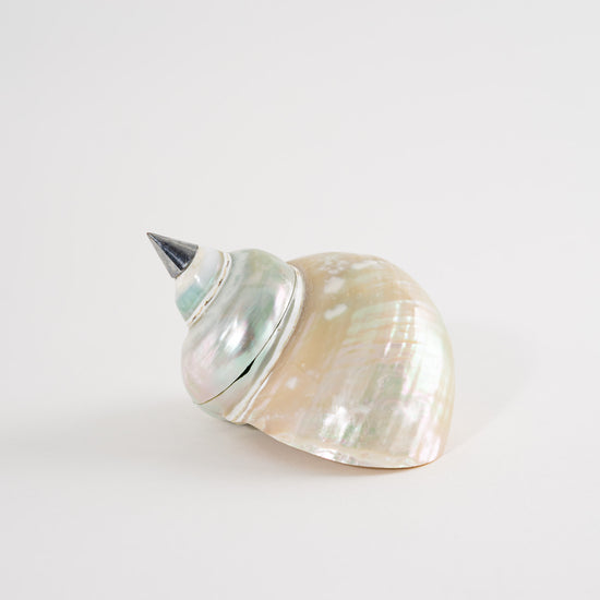 Load image into Gallery viewer, Vintage Sea Shell Ring Box
