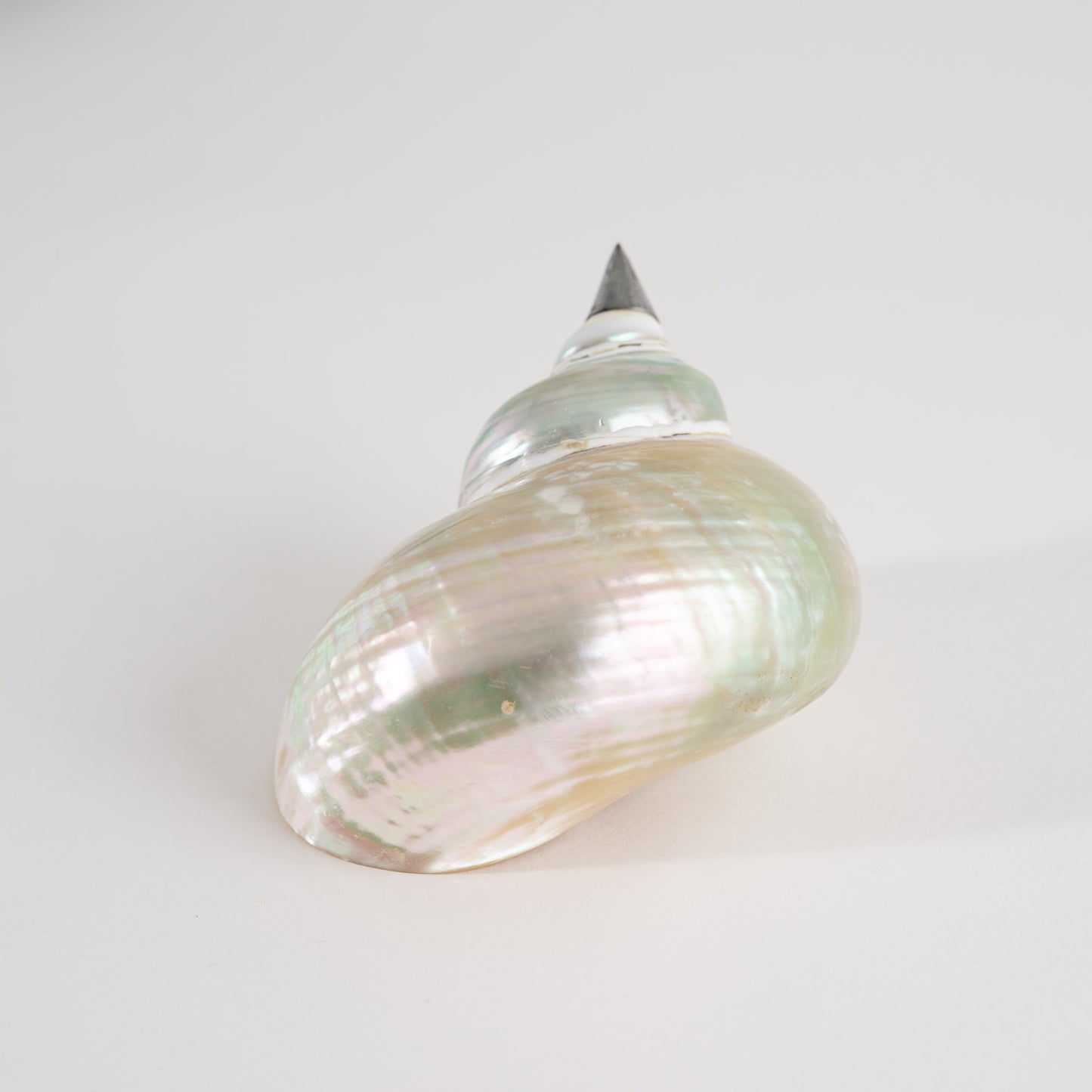 Load image into Gallery viewer, Vintage Sea Shell Jewelry Box
