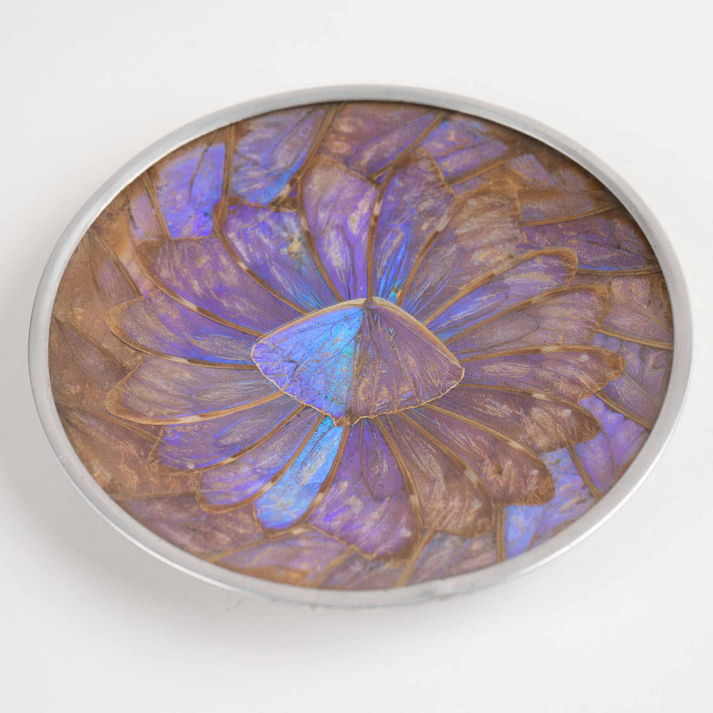 
                  
                    Vintage decorative plate made from iridescent purple and blue butterfly wings, mounted for wall display or table decor
                  
                