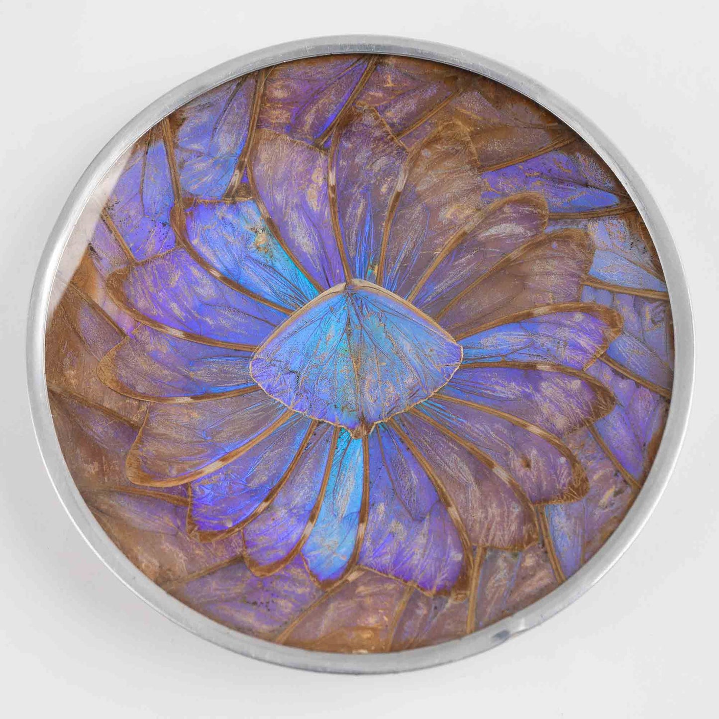 Vintage decorative plate made from iridescent purple and blue butterfly wings, mounted for wall display or table decor