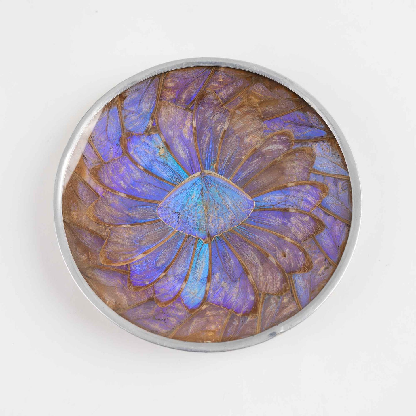 Vintage decorative plate made from iridescent purple and blue butterfly wings, mounted for wall display or table decor
