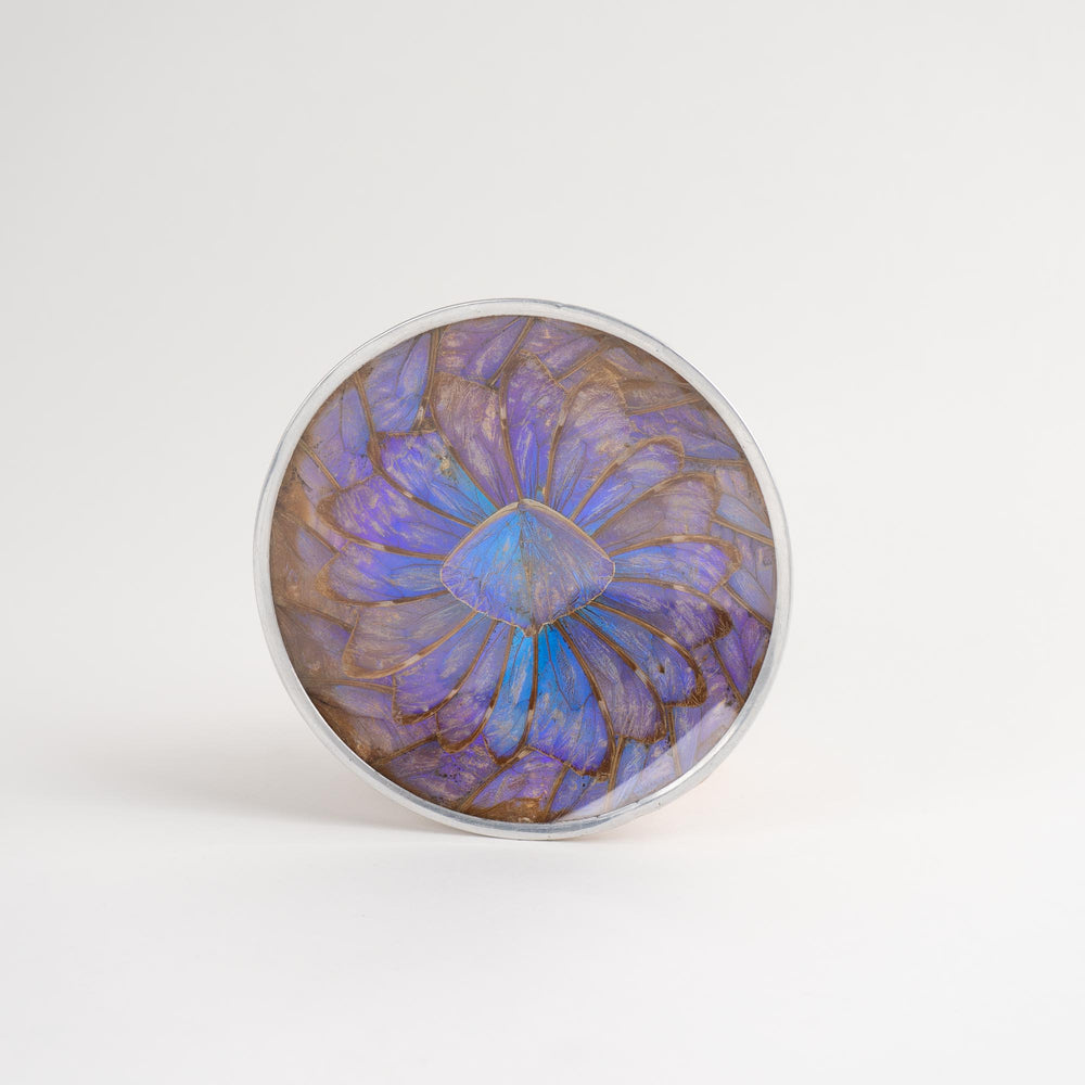 
                  
                    Vintage decorative plate made from iridescent purple and blue butterfly wings, mounted for wall display or table decor
                  
                