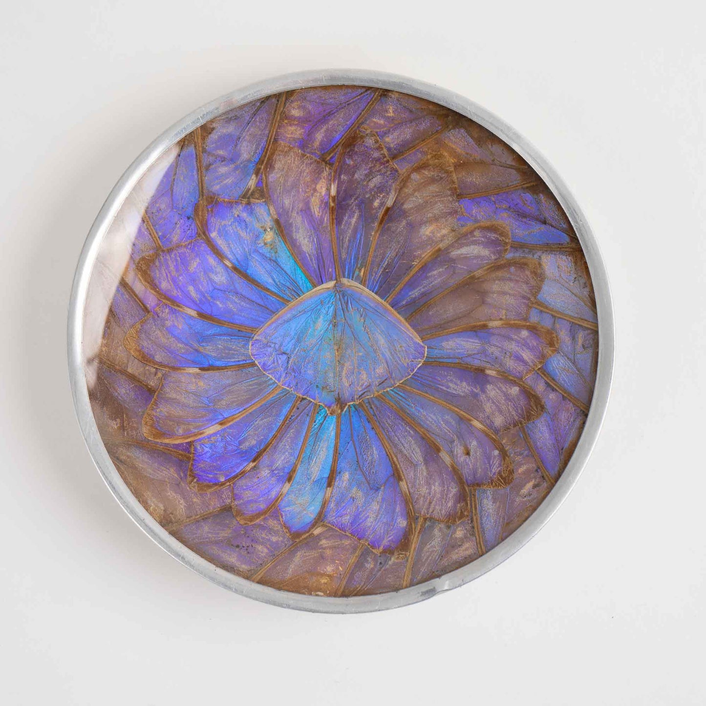 Vintage decorative plate made from iridescent purple and blue butterfly wings, mounted for wall display or table decor