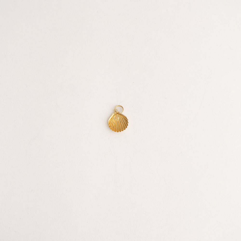
                  
                    delicate 14k gold seashell pendant
                  
                