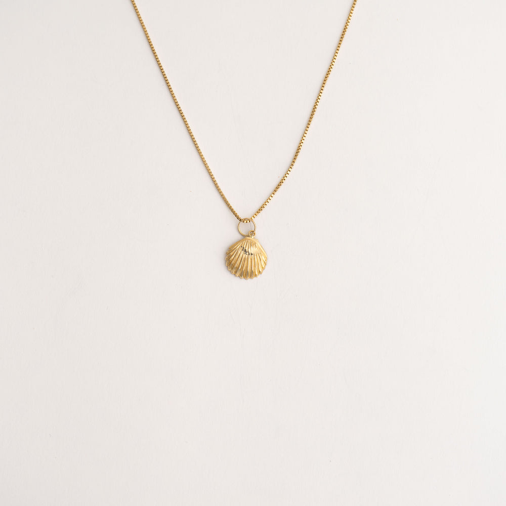 
                  
                    delicate 14k gold seashell pendant on a chain 
                  
                