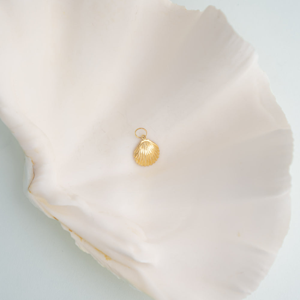 
                  
                    delicate 14k gold seashell pendant
                  
                