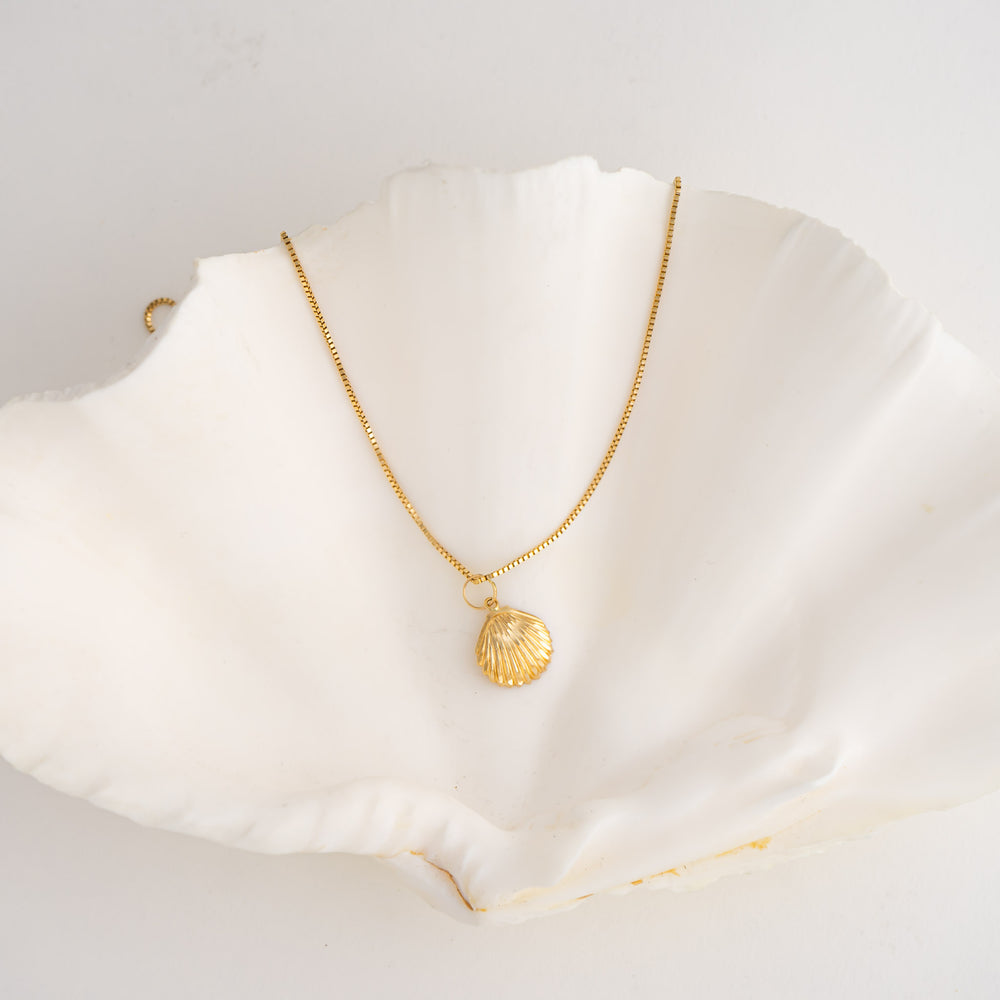 
                  
                    delicate 14k gold seashell pendant
                  
                