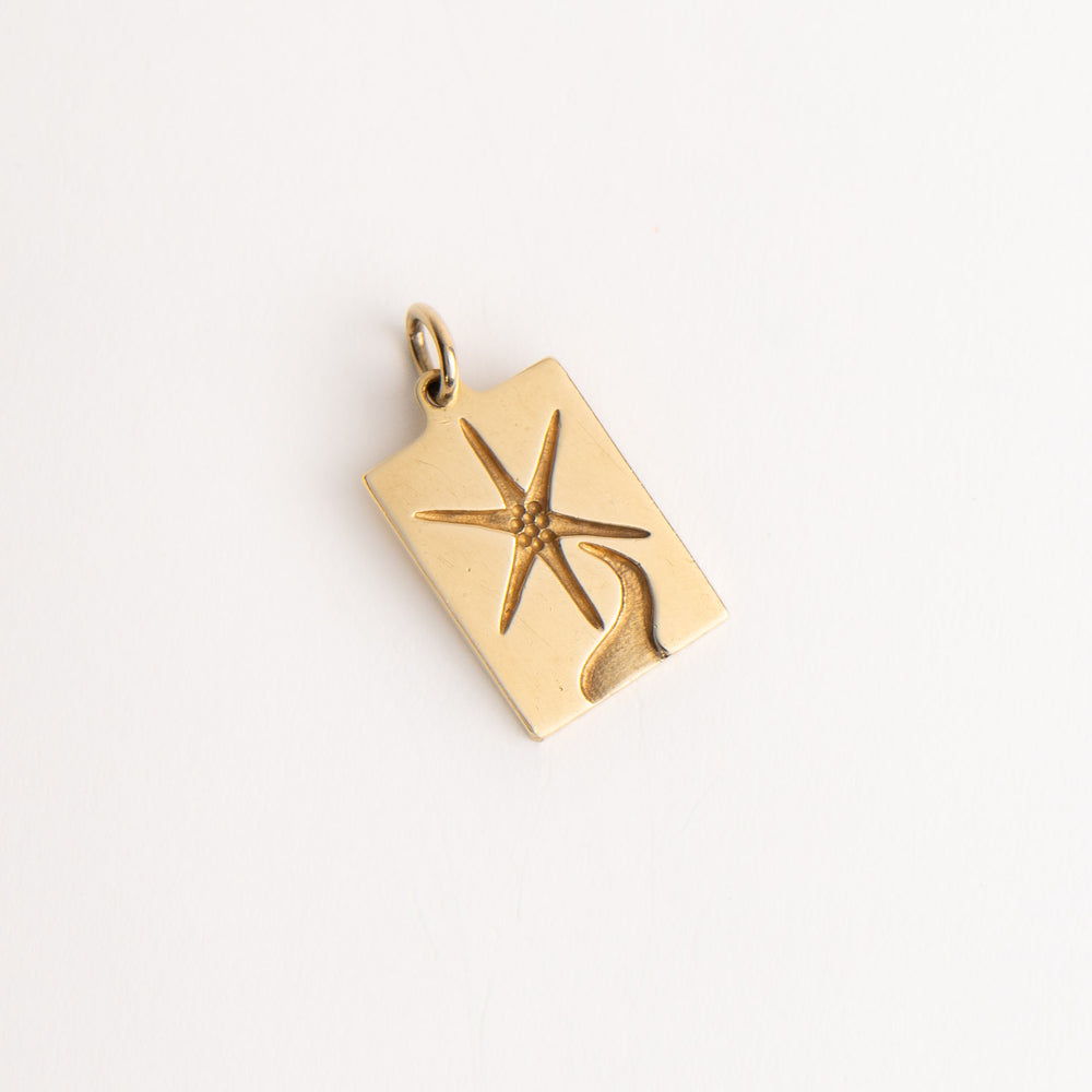 
                  
                    vintage 14k yellow gold rectangle north star charm
                  
                