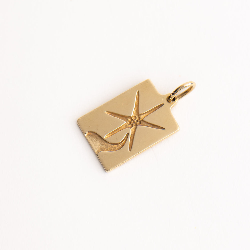 
                  
                    vintage 14k yellow gold rectangle star pendant
                  
                