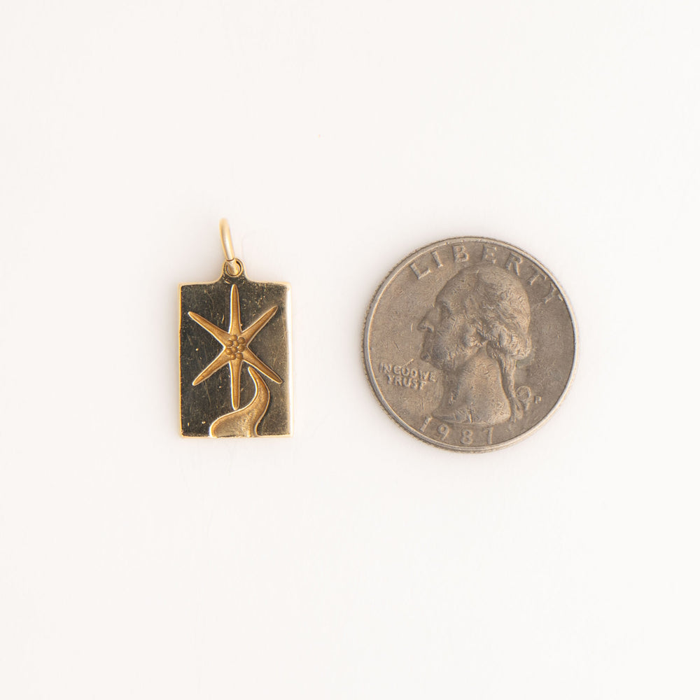 
                  
                    vintage 14k yellow gold rectangle star pendant
                  
                
