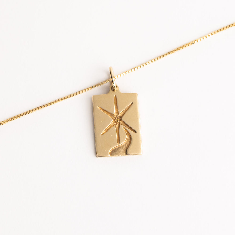 
                  
                    vintage 14k yellow gold rectangle star pendant
                  
                