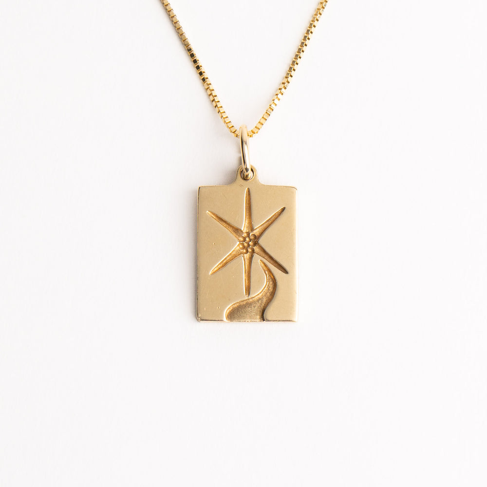 
                  
                    vintage 14k yellow gold rectangle north star pendant
                  
                