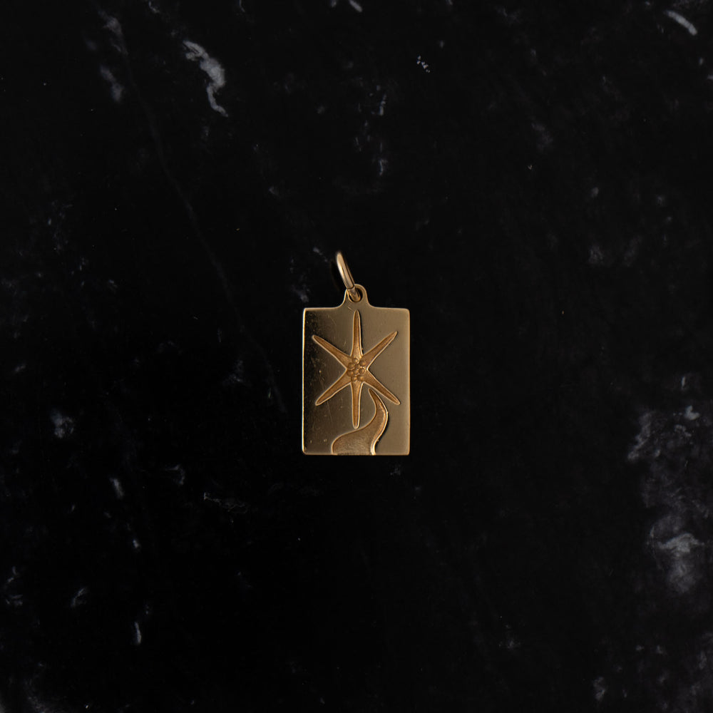 
                  
                    vintage 14k yellow gold rectangle star pendant
                  
                