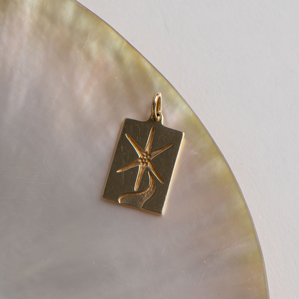 
                  
                    vintage 14k yellow gold rectangle north star pendant
                  
                