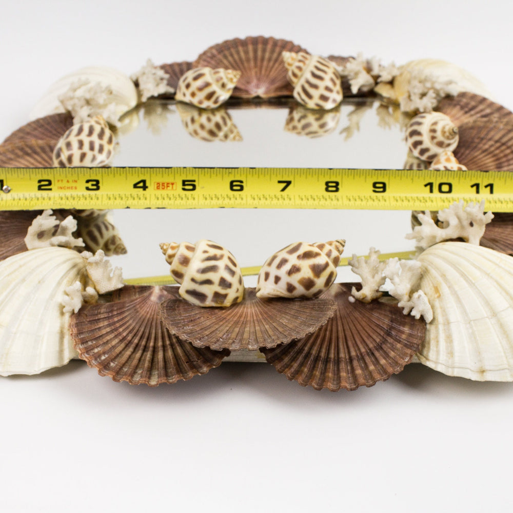 
                  
                    square grotto coastal seashell mirror
                  
                