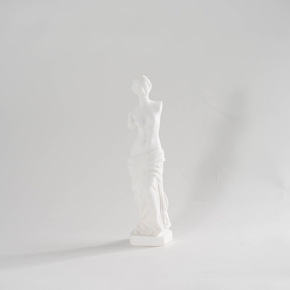
                      
                        Vintage Venus de Milo White Carved Stone Statue
                      
                    