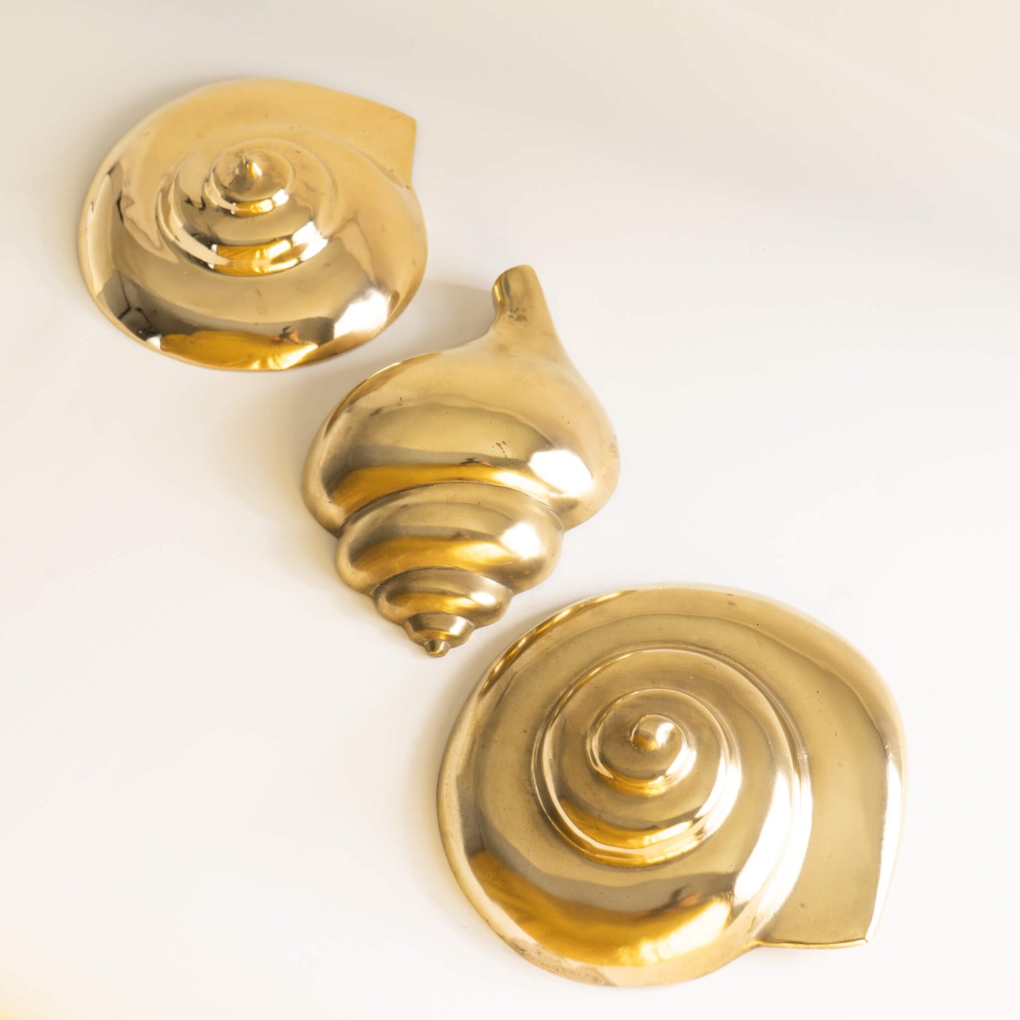 Vintage Brass Wall Decor Sea Shells – The Vintage Advisor