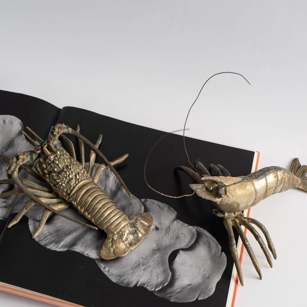 
                      
                        Vintage Brass Sea Creatures Lobster Crawfish 
                      
                    
